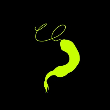 Dicksucking alien plant cover