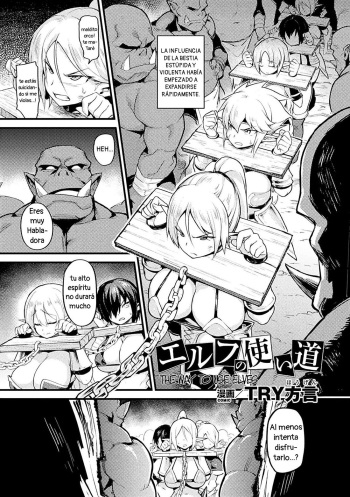Elf no Tsukaimichi | The Way to Use Elves cover