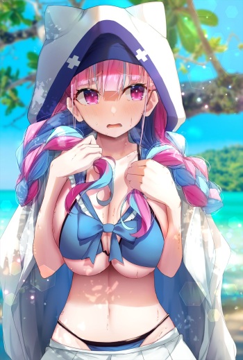 pixiv 二代目@2日目南み20a cover