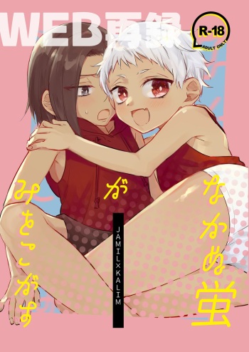 Nakanu Hotaru ga Mi o Kogasu cover