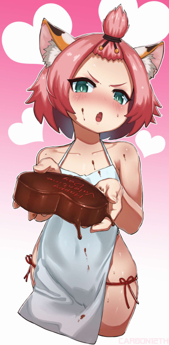 pixiv CARBON12th cover