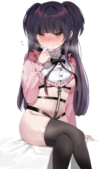 pixiv DOLECHAN cover