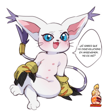 A Cat is Fine  -  -  - Complete cover