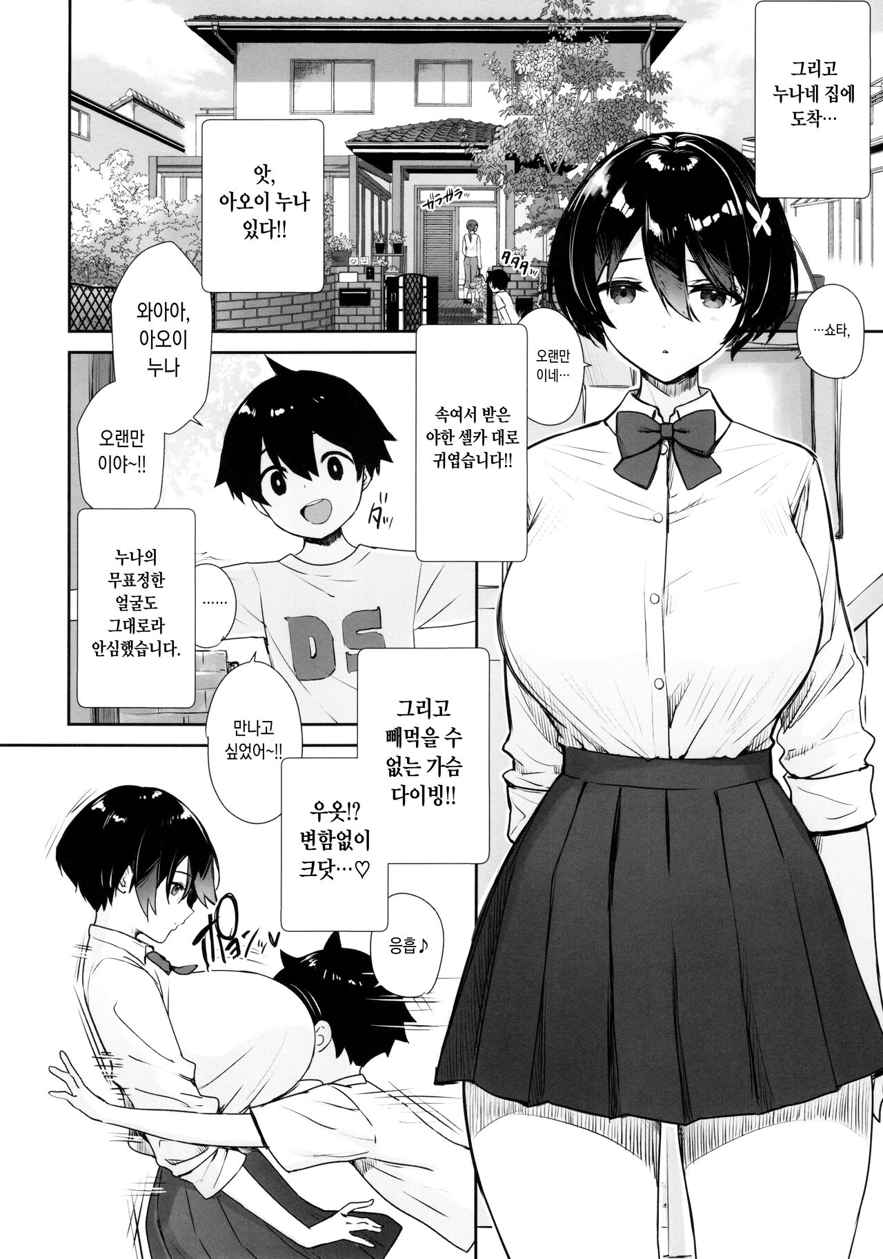 Itsumo No-pan ‧ No-bura na Mukanjou Onee-chan no Shikyuu ni Ippai H na Koto  o Shite Boku no Mono ni Suru Hon | 항상 노팬티 노브라인 감정 없는 누나의 자궁에 잔뜩 야한 짓을 해서 내 것으로 만드는 책 page 3 full