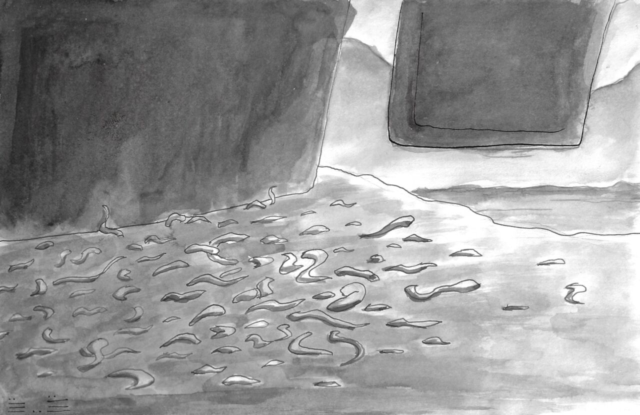 Bípeda_inplume page 5 full