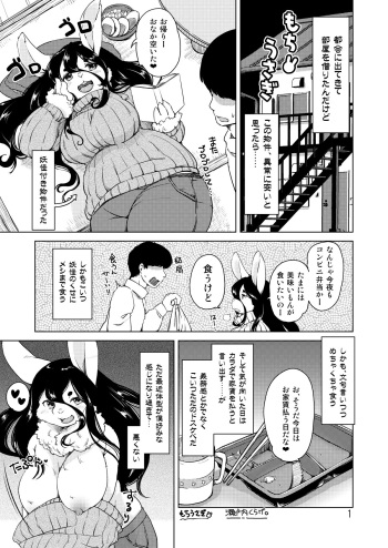 Mochi Usagi cover