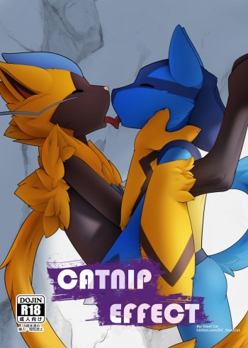 Catnip Effect cover