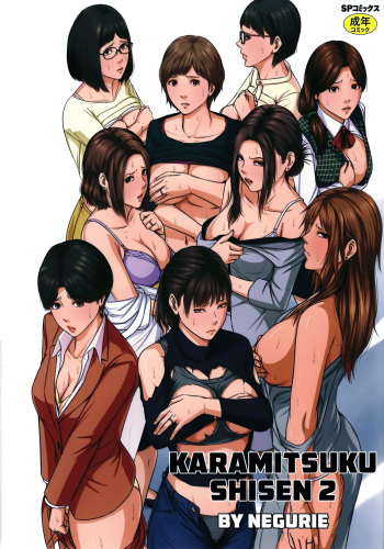 Karamitsuku Shisen 2 cover