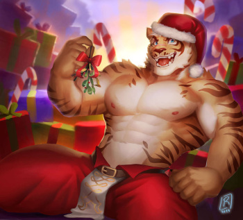 Santa Lin Hu cover