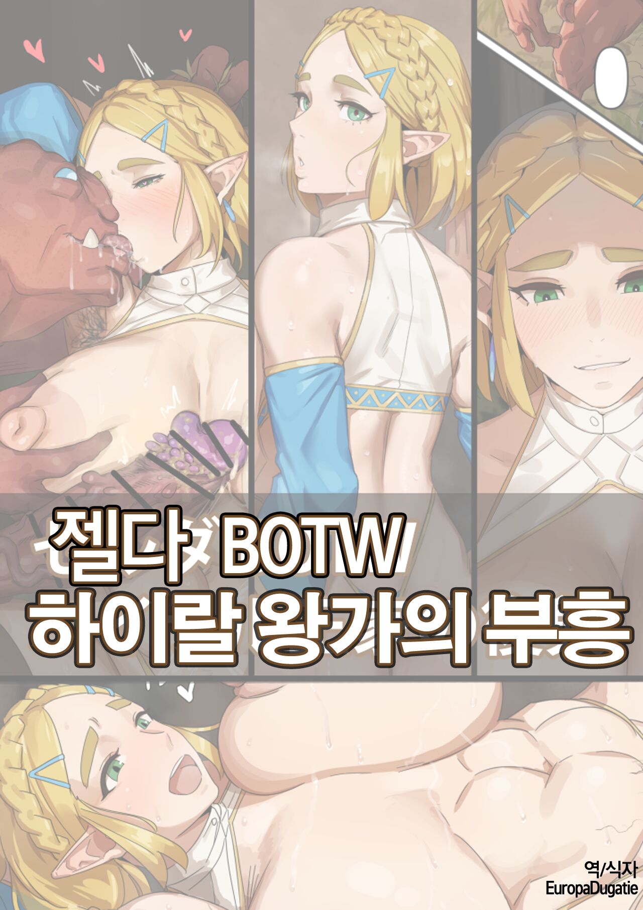 Hyrule Ouke no Fukkou page 1 full