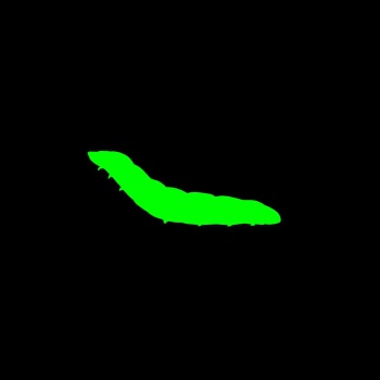 Dickloving Caterpillar cover