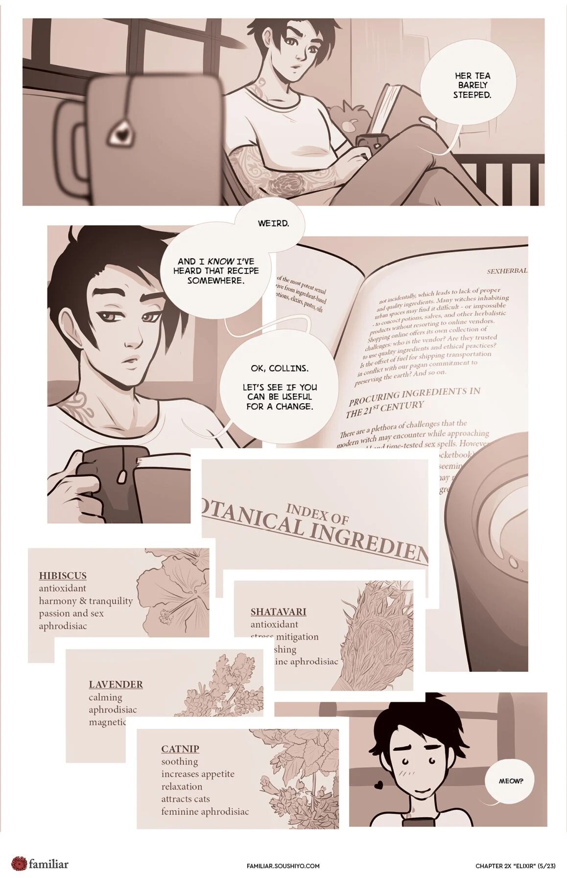 Familiar  - Act 2 - Chapter 08.5 - Elixir - english page 6 full