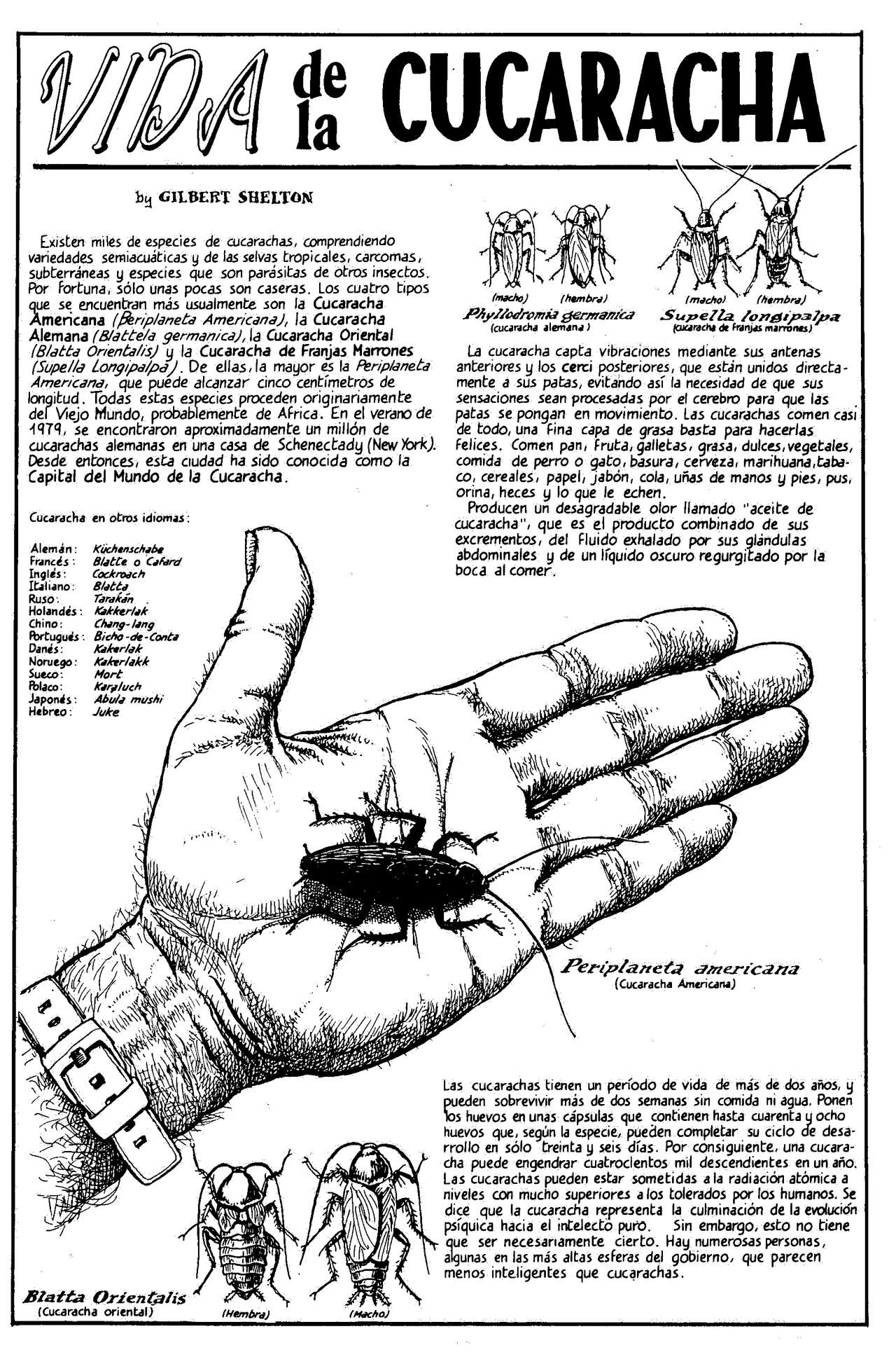 02 La guerra de las cucarachas page 2 full