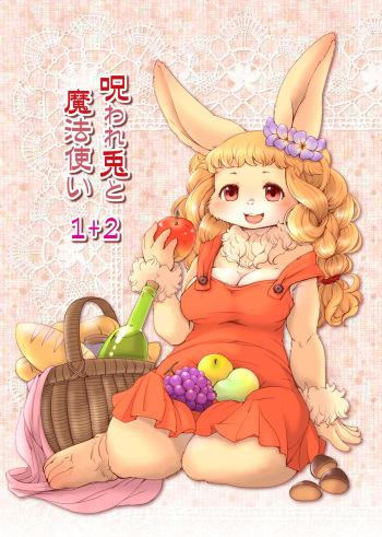 Noroware Usagi to Mahoutsukai 1+2 cover