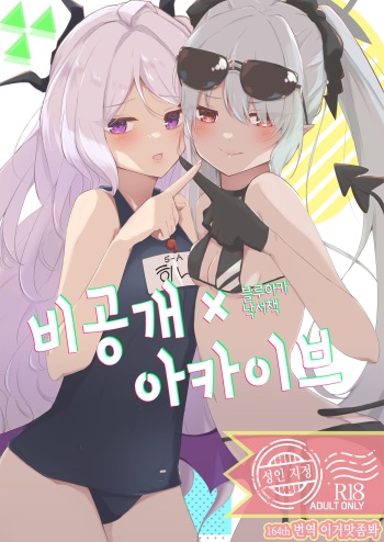 Hikoukai Archive | 비공개 아카이브 cover
