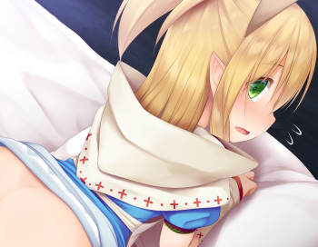 Neko Jou-chan to Ecchi na Koto o Suru Hi cover