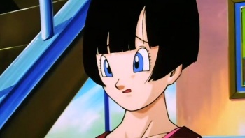 Videl cover