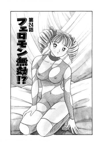 Pheromone legend Vol.3 24-27 cover