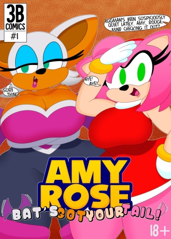 Amy Rose: Bat's Got Your Tail! cover