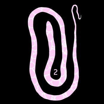 White Snake 2 cover