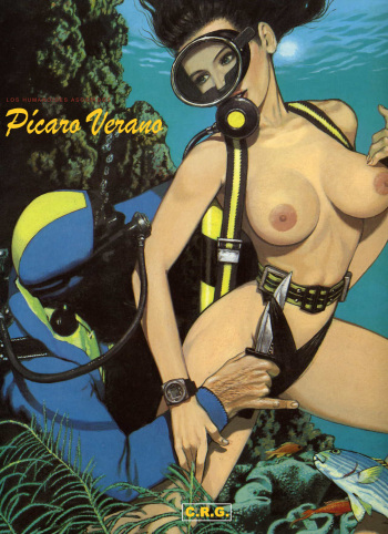 Pícaro Verano - Serie Pícara cover