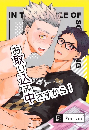 Otorikomi chuu desu kara! cover