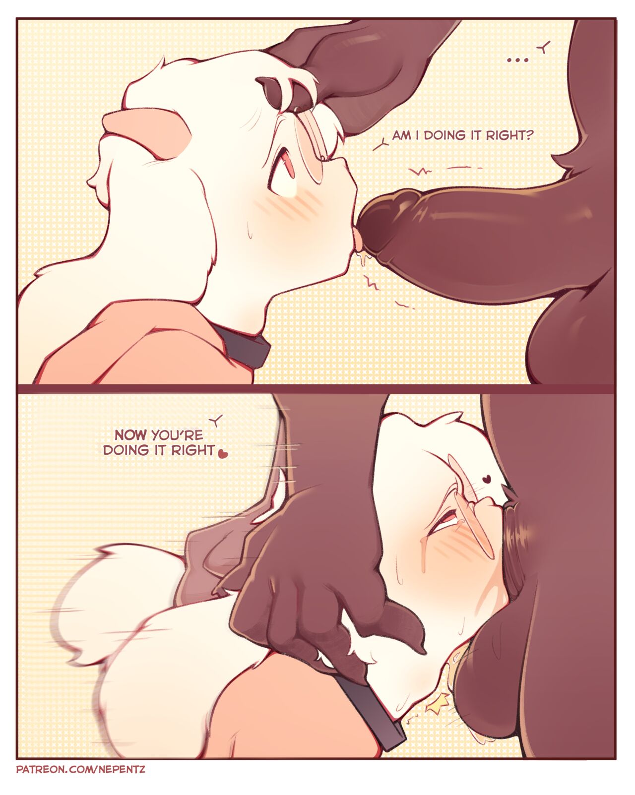 Feb 2022 Patreon Rewards page 4 full