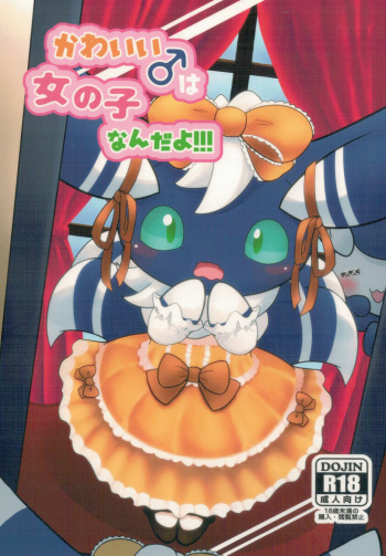 Kawaii♂Onnanoko nanda yo!!! cover