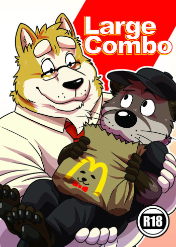 Large Combo cover