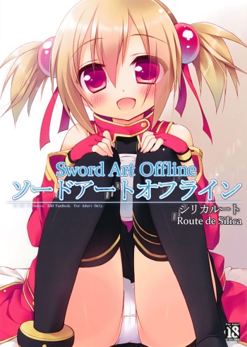 Sword Art Offline -Silica Route- cover