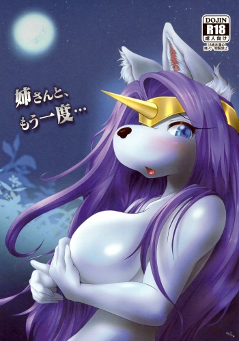Nee-san to, Mou Ichido… cover