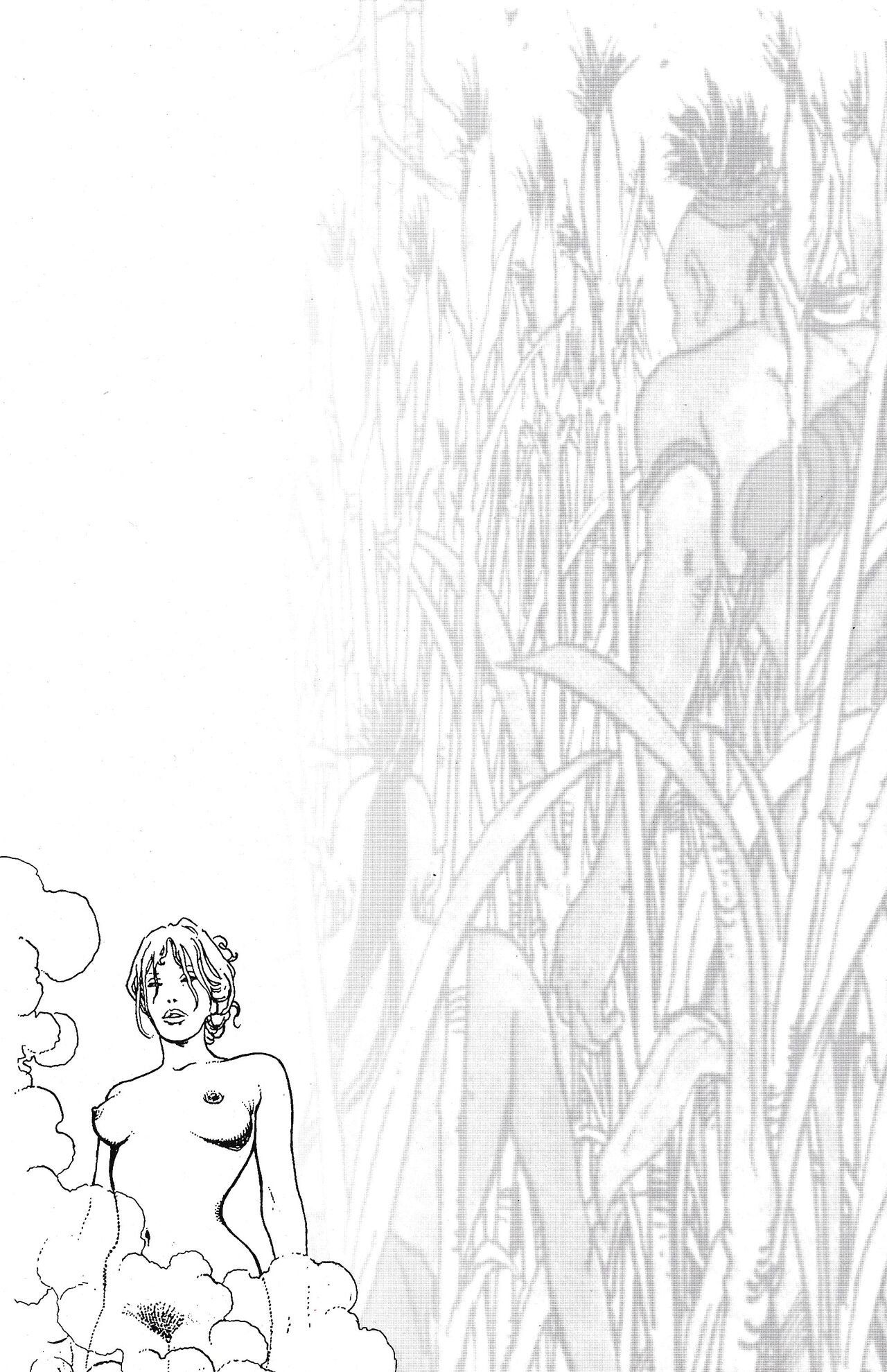 Verano Indio #3 page 4 full