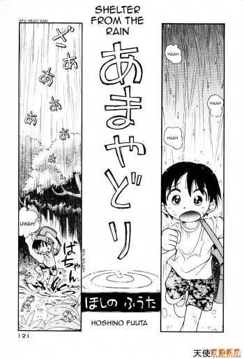 Amayadori | Shelter from the rain cover