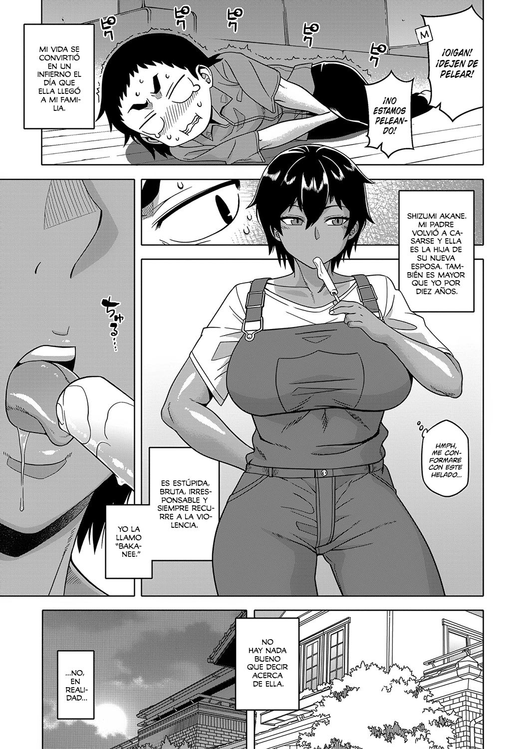 Chotto Bijin de Mune ga Dekakute Eroi dake no Baka-nee page 3 full