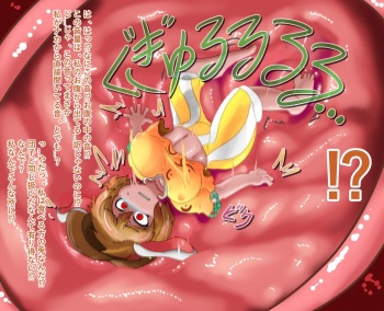 Touhou Works cover