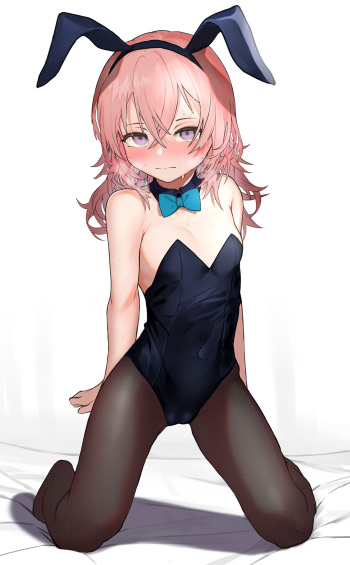 Fanbox Collection cover