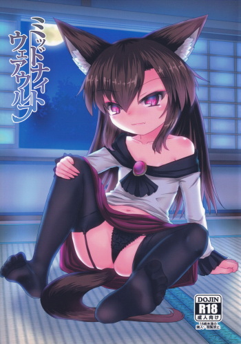 Midnight Werewolf cover