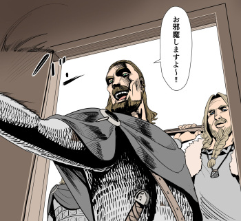 Viking cover