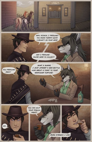 The bounty cover