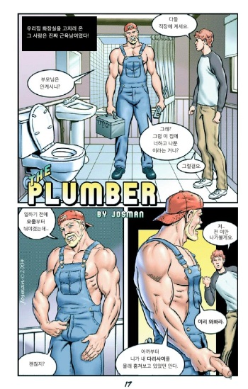 The Plumber cover