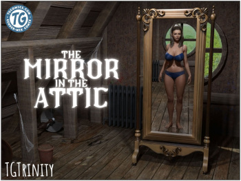 Mirror in the attic cover