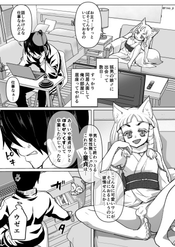 のじゃロリ狐娘に玩具を与える話 cover
