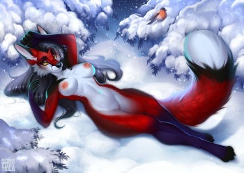 artist:sorafoxyteils cover