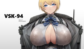 VSK-94 cover