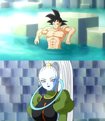 Training with Vados cover