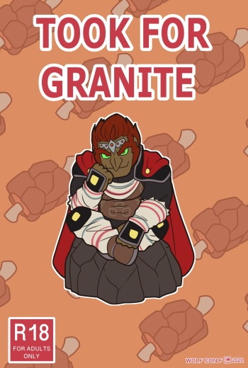 TOOK FOR GRANITE cover