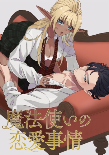 Wizard's love affairs cover