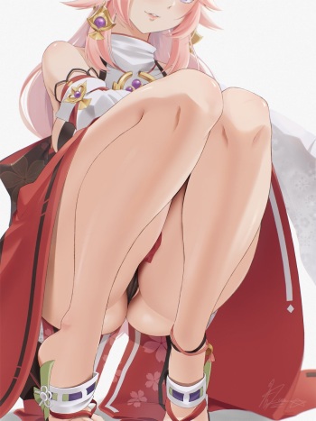 Upskirt cover