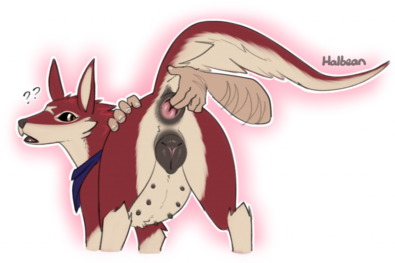 Scarlet the Palamute page 3 full