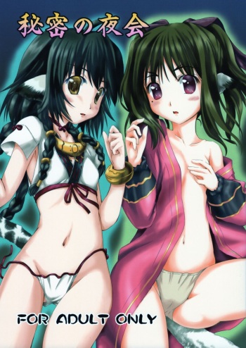 Himitsu no Yakai cover